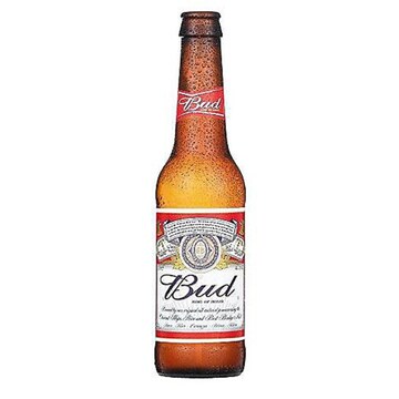 Bouteille de bière Budweiser glacée et mouillée, étiquette rouge et blanche portant l'inscription "Bud" au centre, sur fond blanc.